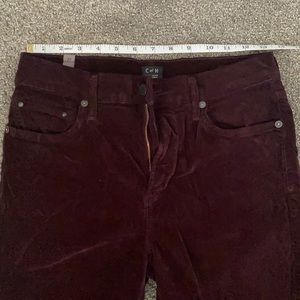 Velvet Burgundy COH pants
